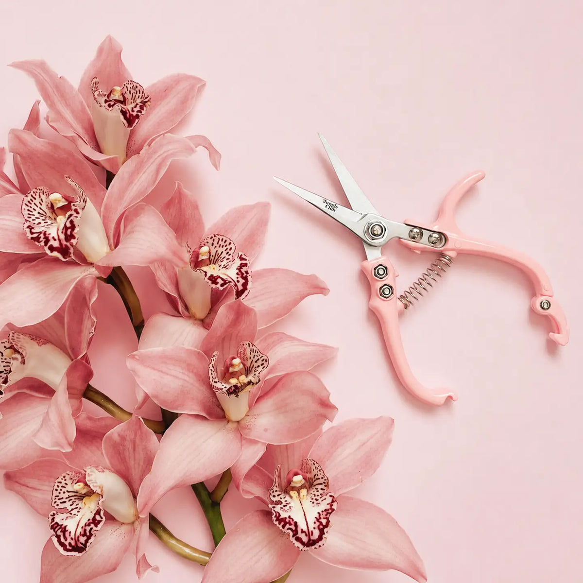 Flower Snips