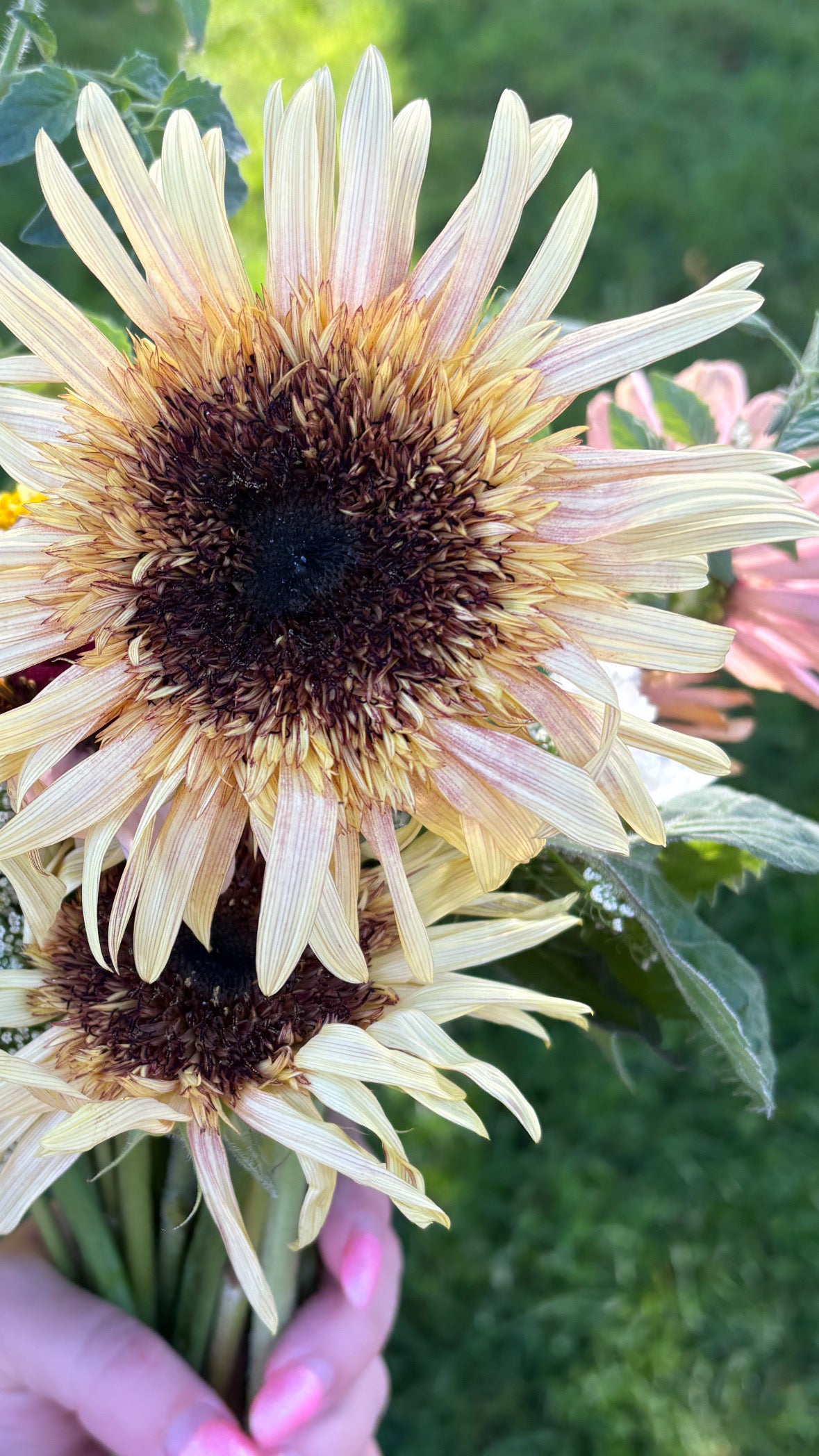 2027 Summer B Bouquet Subscription