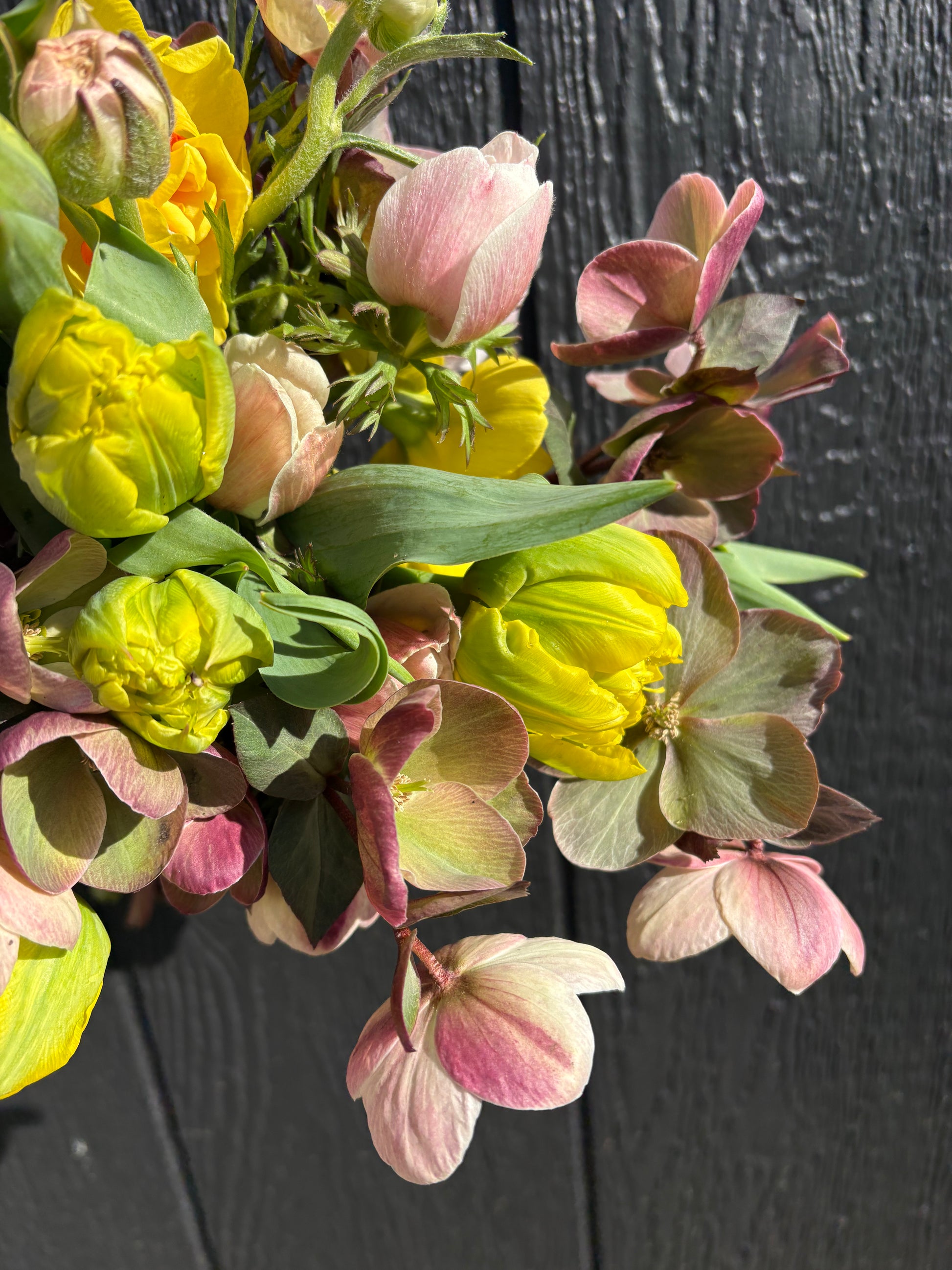 A close-up of a spring flower arrangement featuring bright yellow tulips, pink-and-white hellebores, and green leaves, set against a dark charcoal wood plank background.