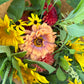 2027 Summer B Bouquet Subscription