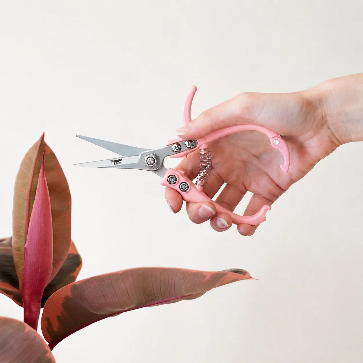 Flower Snips