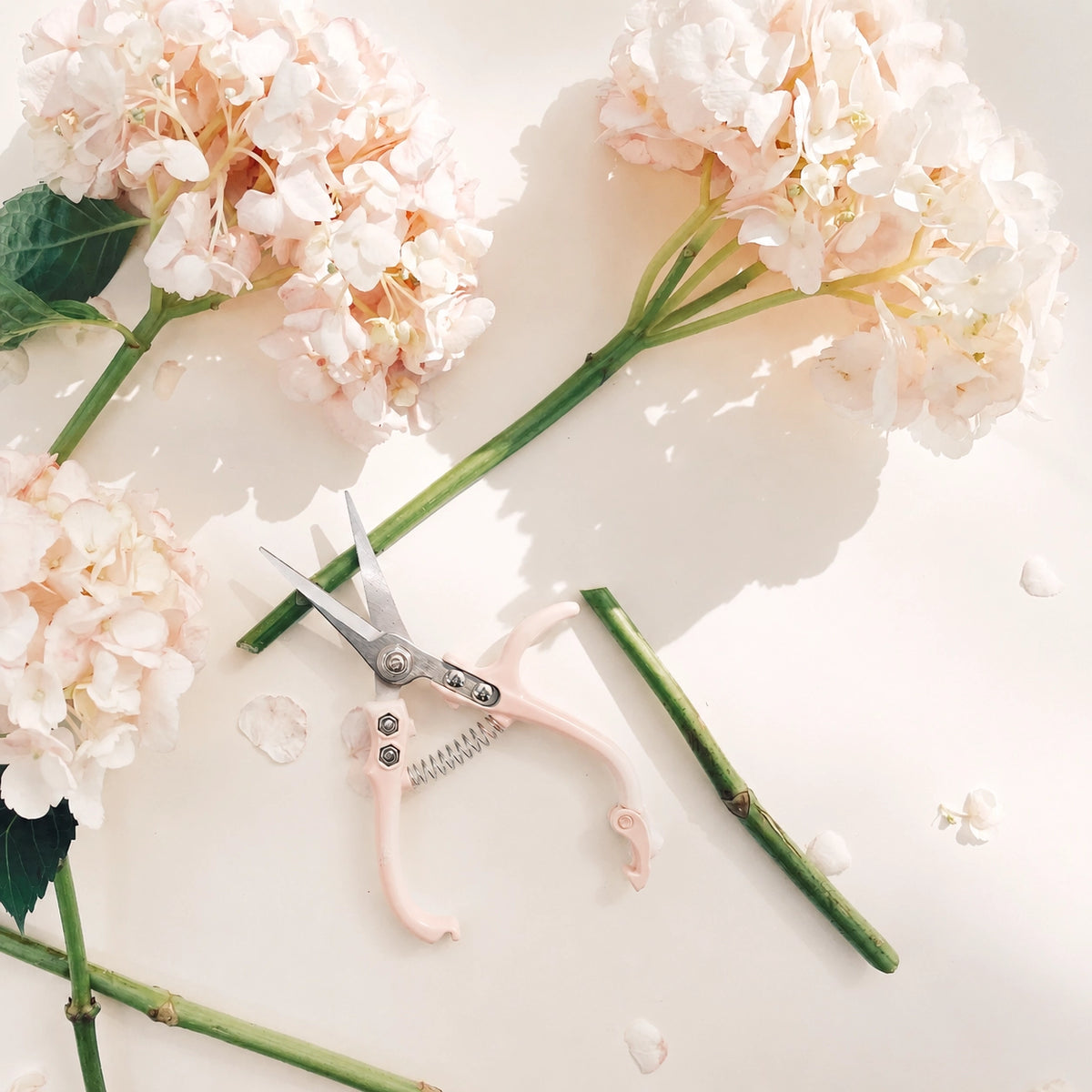 Flower Snips