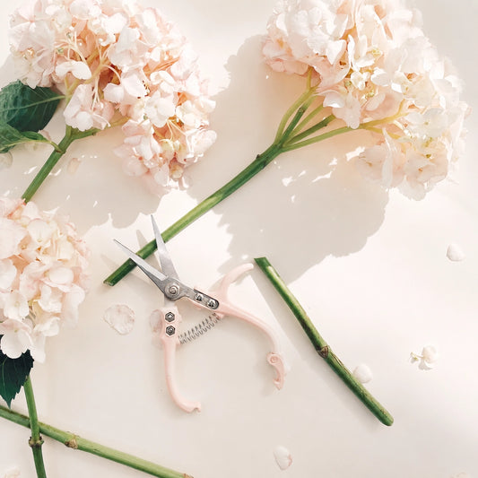 Flower Snips