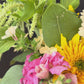 Summer 2026 Bouquet Subscription — July (Weekly)